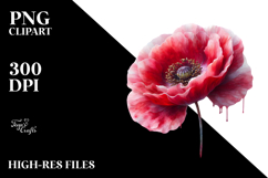 -Like Poppy Watercolor PNG Product Image 2