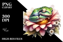 Baby Frog Sleeping, PNG Product Image 2