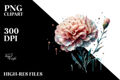 Carnation Watercolor Splash PNG Product Image 2