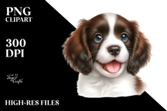Happy Baby English Springer Spaniel, Transparent PNG Product Image 2