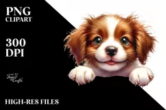 Funny Crazy Baby Brittany Smiling | Sublimation Clipart Product Image 1