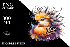 Vibrant Sandgrouse with Crazy Hair | Sublimation | Clipart Product Image 2