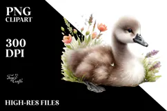 Digital Watercolor Baby Swan PNG Product Image 2