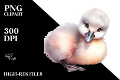 Digital Watercolor Baby Swan PNG Product Image 2