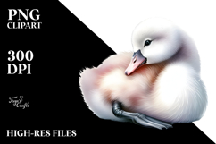 Digital Watercolor Baby Swan PNG Product Image 2