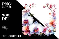Colorful Orchid Frame Clipart Product Image 2