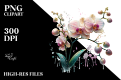Orchid with Metallic, Watercolor Splash PNG Product Image 2