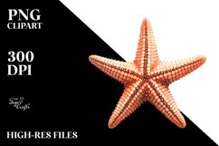 Sublimation|Clipart Product Image 3