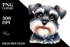 Happy Miniature Schnauzer, Transparent PNG Product Image 2