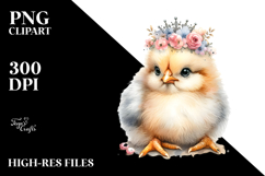 Adorned Baby Chicken, Transparent PNG Product Image 2