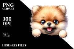 Enthusiastic Funny Pomeranian Clipart Product Image 2