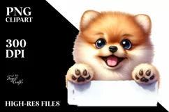 Funny Crazy Baby Pomeranian Smiling | Sublimation Clipart Product Image 1
