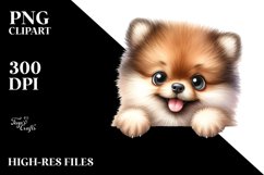 Sublimation|Clipart Product Image 1