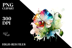 Wooden Stained Sweet Pea Splash Product Image 2