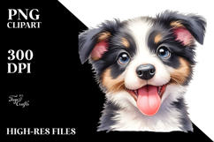Expressive Baby Border Collie PNG Product Image 2