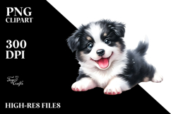 Expressive Baby Border Collie PNG Product Image 2