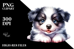 Expressive Baby Border Collie PNG Product Image 2