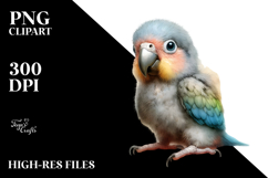 Digital Watercolor Baby Parrot, High-Resolution PNG Product Image 2