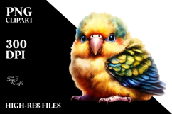 Digital Watercolor Baby Parrot, High-Quality PNG Product Image 2