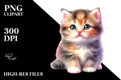 Sublimation|Clipart Product Image 2