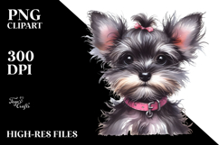 Expressive Baby Miniature Schnauzer PNG Product Image 2