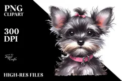 Expressive Baby Miniature Schnauzer PNG Product Image 2