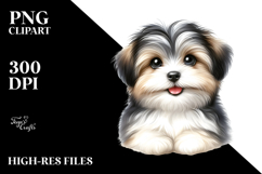 Watercolor Baby Havanese with Big Eyes PNG Product Image 2