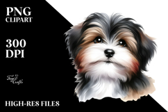Watercolor Baby Havanese with Big Eyes PNG Product Image 2