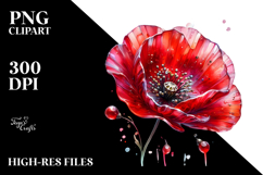 Poppy Watercolor PNG Product Image 2