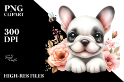 Cute Baby French Bulldog, Transparent PNG Product Image 2