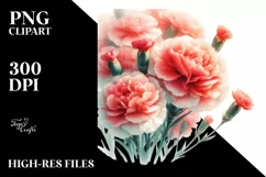 colorful carnation washed watercolor | Clipart Product Image 1