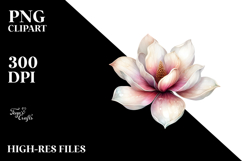 Magnolia Watercolor PNG Product Image 2