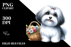 Watercolor Cute Havanese PNG Product Image 2