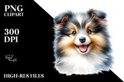 Cute Baby Shetland Sheepdog with Big Eyes PNG Product Image 2