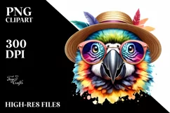 Colorful Baby Macaw, PNG Product Image 3
