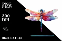 Colorful Yoga Dragonfly | Sublimation | Clipart. Product Image 1