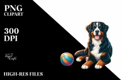 Waterncollor Bernese Mountain Dog Sitting Sunset | Product Image 3