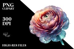 Shiny Like Ranunculus Watercolor Splash | Clipart Product Image 1