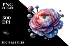 Shiny Like Ranunculus Watercolor Splash | Clipart Product Image 3