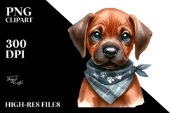 Expressive Rhodesian Ridgeback, PNG Product Image 2