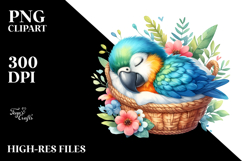 Sublimation|Clipart Product Image 2