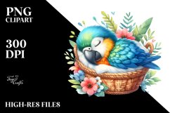 Sublimation|Clipart Product Image 3