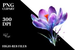 Glossy Like Crocus Watercolor Splash | Clipart Product Image 1