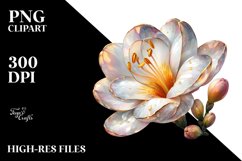 Exquisite Freesia Clipart Collection Product Image 3
