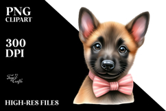 Cute Baby Malinois PNG Product Image 2