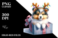 Expressive Baby Shetland Sheepdog PNG Product Image 1