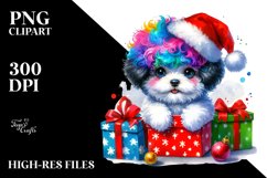 Expressive Baby Bichon Frise PNG Product Image 3