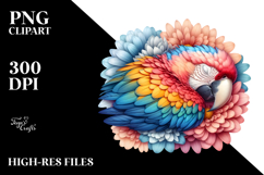 Colorful Pastel Macaw Sleeping Flower | Clipart Product Image 2