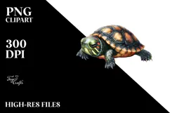 Digital Watercolor Baby Turtle, PNG Product Image 2