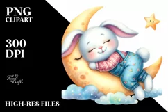 Cute Bunny Wearing Clothes Sleeping Flower, Clipart Product Image 7
